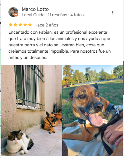Perro y gato conviviendo